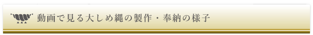 ưǸ礷Ǽͻ